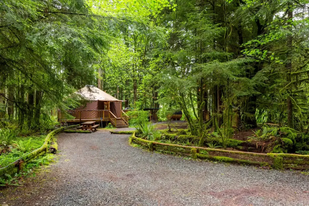 The 21 Best Yurt Rentals In the USA: Top-rated with Perfect Location