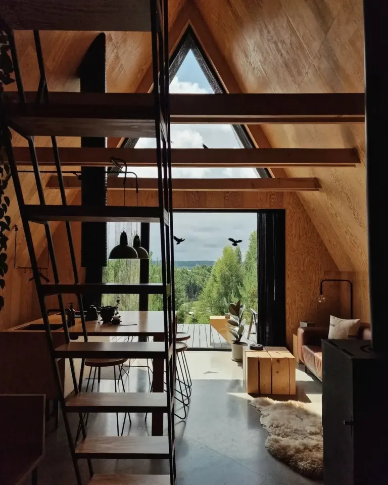 Minimalist simple A-frame house interior ('Miško Rojus') with plywood walls, concrete floor, and expansive forest view.