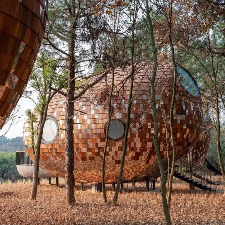 The Seeds cabins in China, unique pod-like structures with metallic-finish shingles and round windows, showing innovative organic design in a woodland setting.