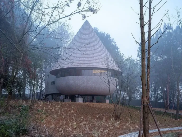 The Mushroom cabin in China, featuring a distinctive conical roof inspired by a pinecone, an example of biomimetic design in a misty forest.