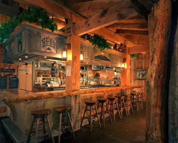 The Log Cabin Bar at Bridgetender's - Inspiring Bar Log Cabin Ideas 