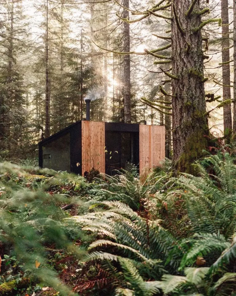 Minimalist cabin exterior with a sloped roof and natural wood siding, designed for a peaceful forest retreat.