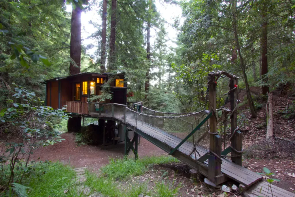 Redwood Treehouse 
