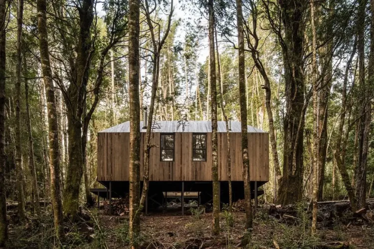 Handcrafted wooden cabin exterior deep in the Chilean woods, featuring a prominent glass-walled central space.
