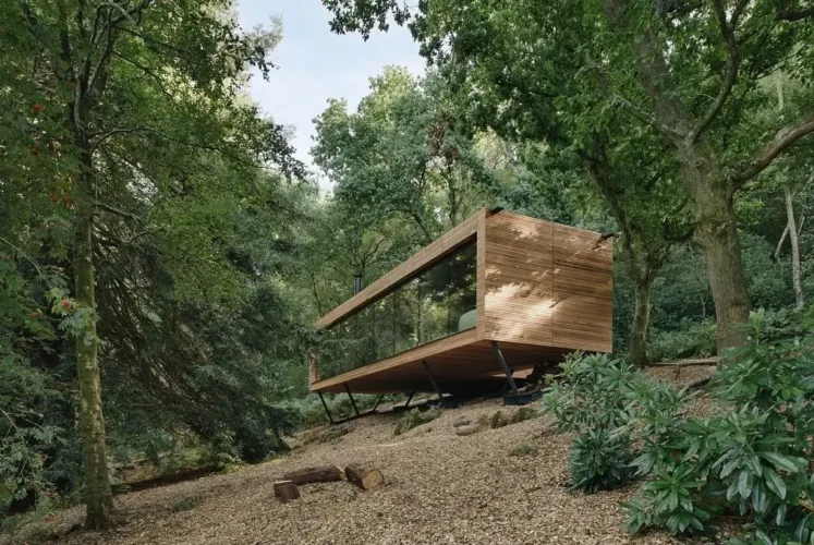 Looking Glass Lodge in East Sussex, UK, a contemporary timber-clad forest retreat with expansive glass walls maximizing natural light and woodland views.