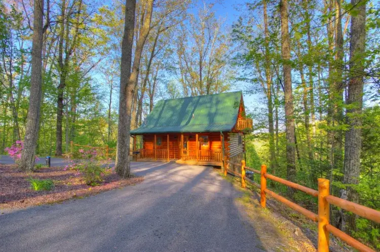 Cozy secluded log cabin Gatlinburg with hot tub and private Mount Le Conte views