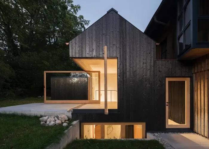 Striking small black house exterior with clean lines and large windows, offering a bold minimalist statement.