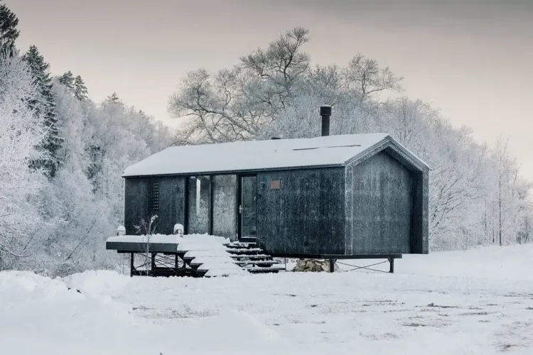 Efficient tiny cabin exterior combining natural oak with black metal and a large glass window.