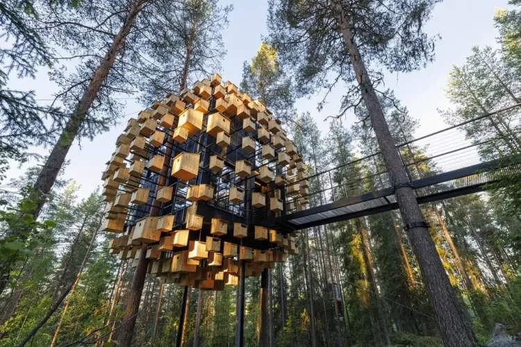 Sweden's Treehotel Biosphere, a unique cube structure adorned with birdhouses, elevated in a pine forest, blending innovative design with ecological principles.