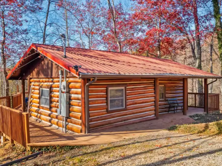 Charming secluded log cabin nestled in autumn woods in Gatlinburg, TN, surrounded by colorful trees.