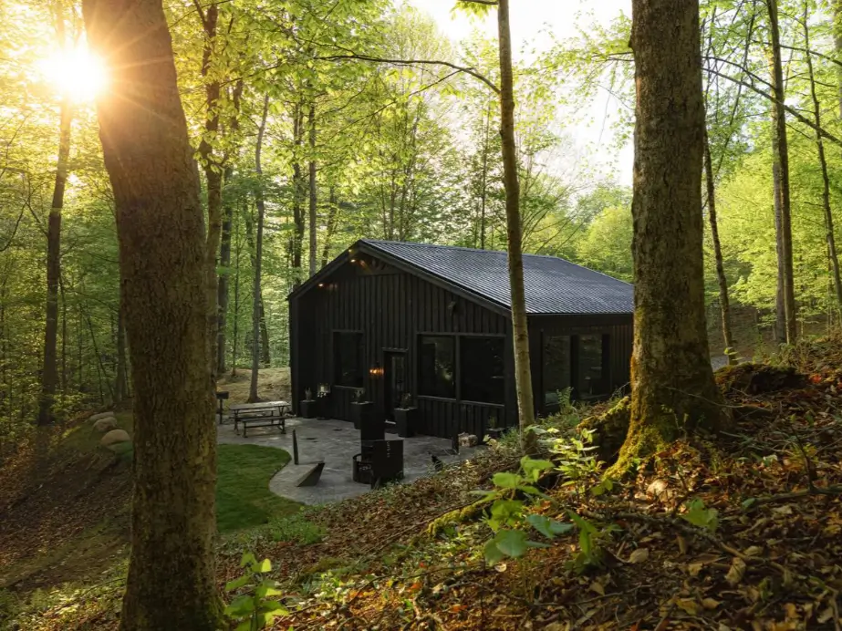 The exterior of the secluded Birch Falls Spa Cabin nestled in a lush green forest with sunlight filtering through the trees.
