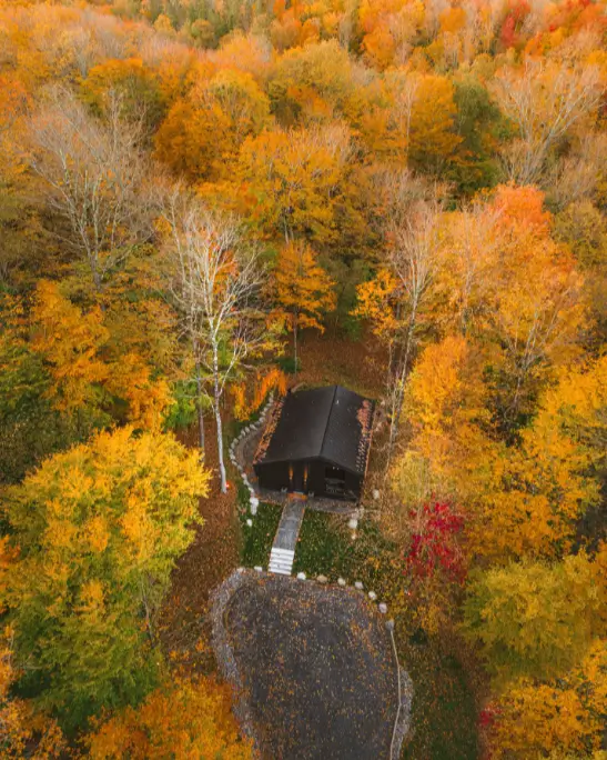 An aerial view of the Birch Falls Spa Cabin surrounded by vibrant orange and yellow autumn foliage, showcasing its secluded location.