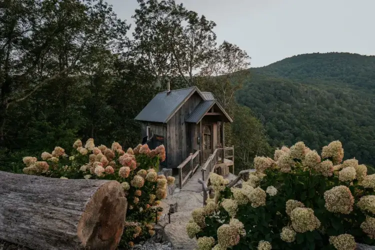 A stone pathway flanked by blooming hydrangeas leads to the entrance of the Raven Rock Cabin, with rolling green hills visible in the distance.