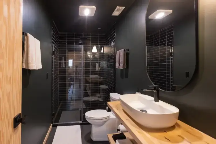 The sleek, modern bathroom in the Plahaus Cabin, featuring a dark-tiled walk-in shower, a vessel sink on a wood vanity, and a large oval mirror.