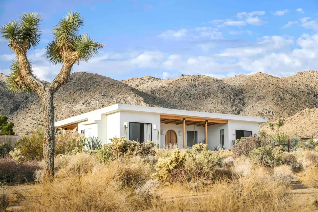 Desert Wild Oasis: Your Poolside Paradise in Joshua Tree - Joshua Tree Cabin Rentals