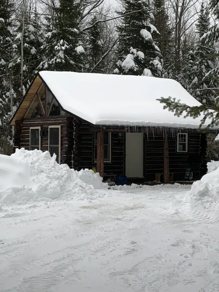 Cozy, rustic One room cabin - Traverse City tiny house stays on Airbnb