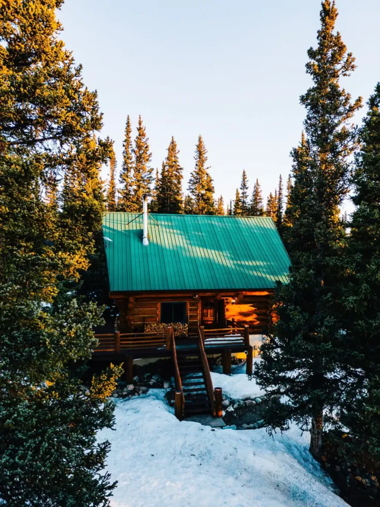 IDLEWILD - Best cabin rentals in Colorado