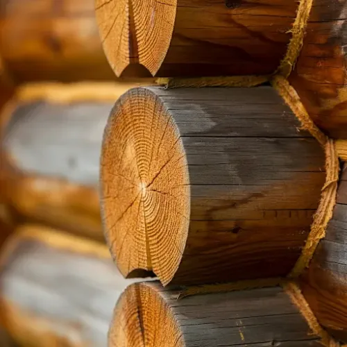 Close-up view of the interior log walls of a cabin, showing the detail of the wood and construction.