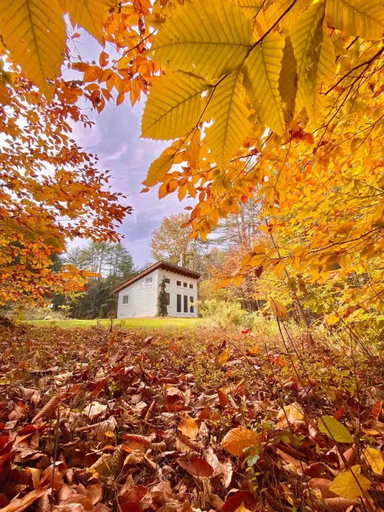 Honeycrisp Cottage - A Tiny Timber Frame