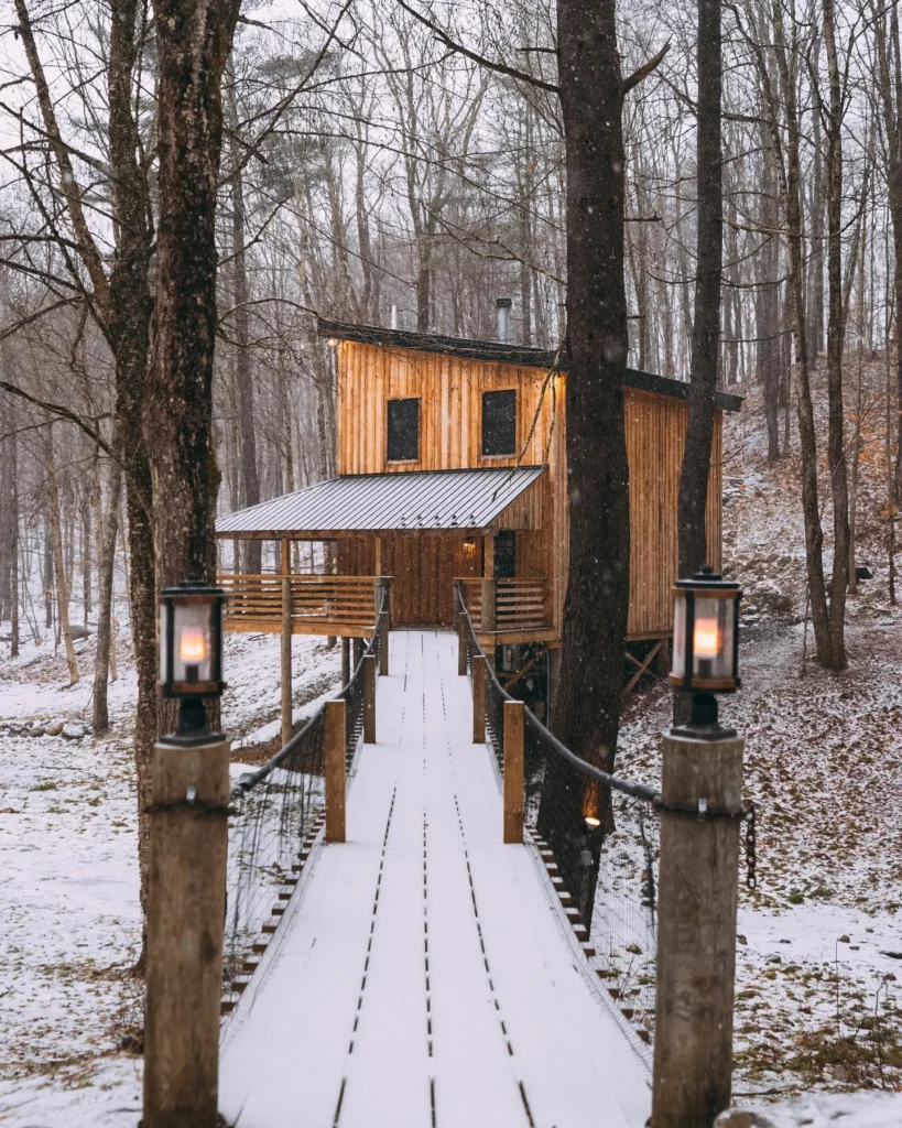 Dreamy cabin in the woods with a suspension bridge entrance.